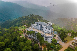 untitled design (49)