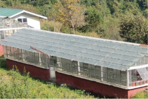 untitled design (51)