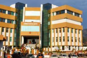 untitled design (53)