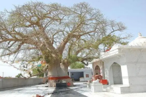 untitled design (58)