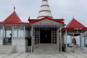 untitled design (60)