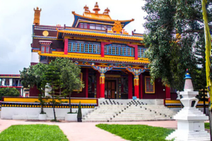 untitled design (61)