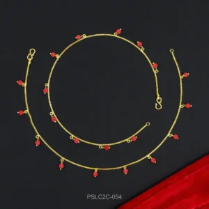 anklet pslc2c 054