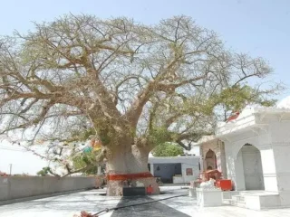 jakholi devi temple