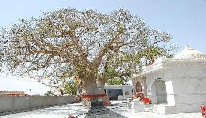 Jakholi Devi Temple