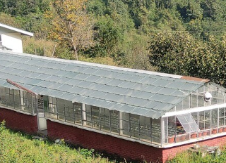 screenshot 2026 02 17 173644