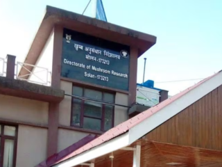 screenshot 2026 02 18 154003