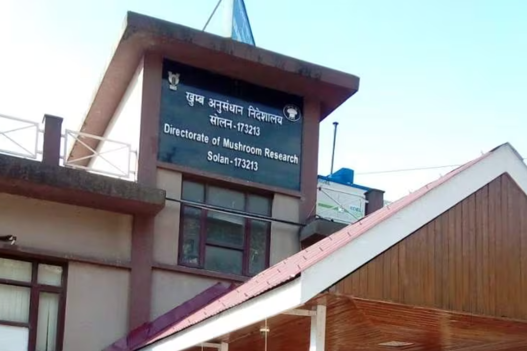 Directorate Of Mushroom Research