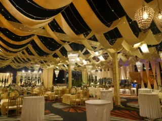 dsc07868 15 398347 174702894770434