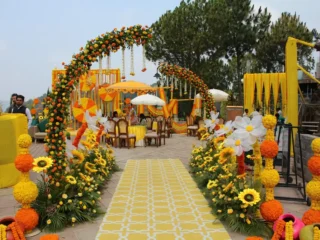 img 1273 15 433550 173831004648995